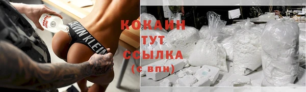 шишки Касимов