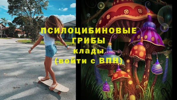 шишки Касимов