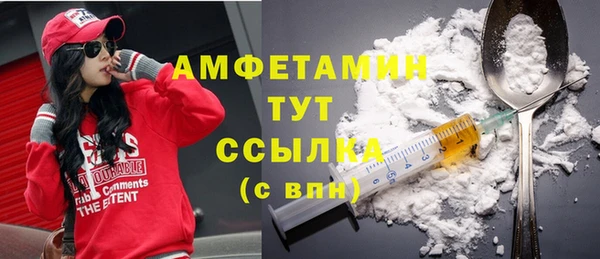 шишки Касимов